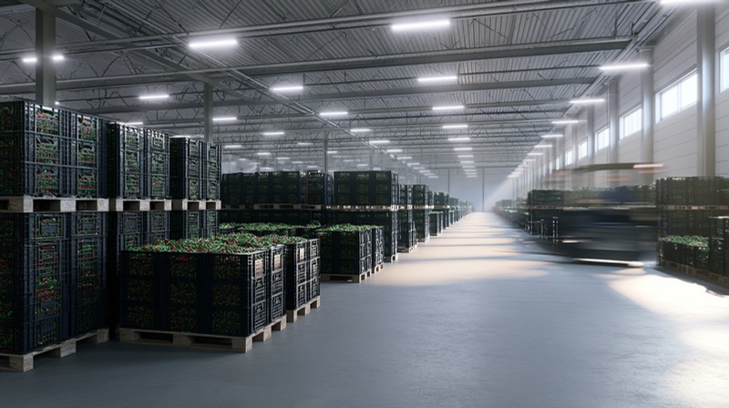 Produce storage illustration