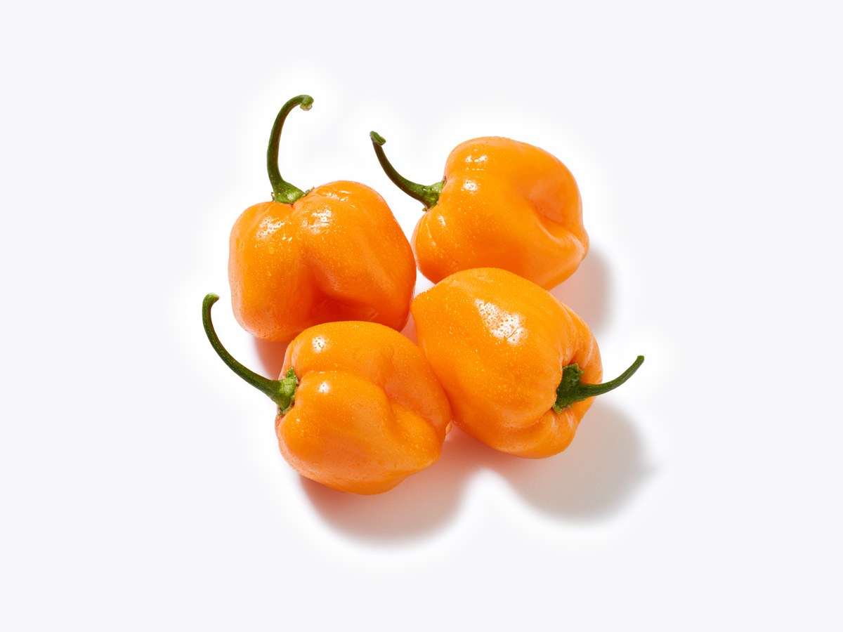 Fresh habanero peppers